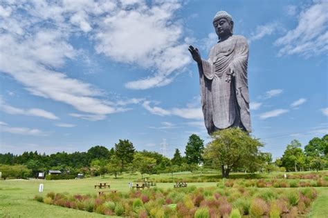 座像|仏像には座像と立像が存在するけど違いって何？ 